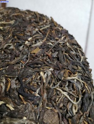 大叶普洱茶多少一斤