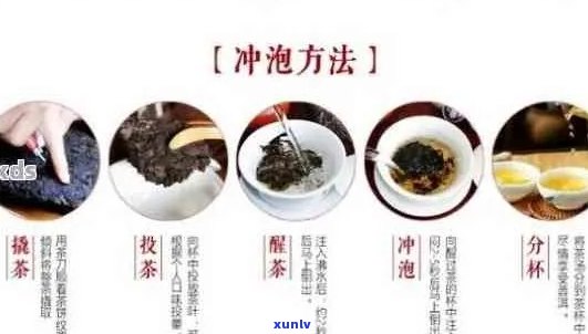 普洱茶泡法：正确 *** 及流程