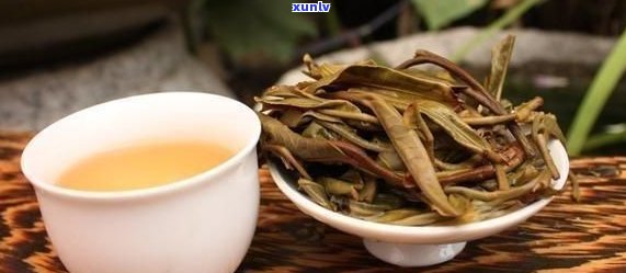 普洱茶十大名茶全解析：品茗之余，了解每种茶叶的独特之处与饮用技巧