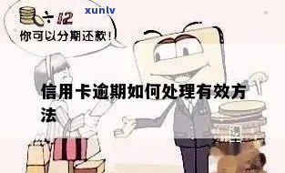 逾期信用卡还款策略：有效应对逾期问题的 *** 和建议