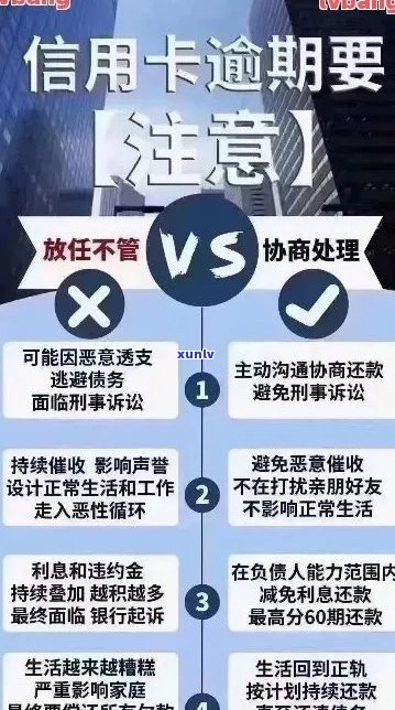 '对信用卡逾期技巧：如何应对，建议与看法'