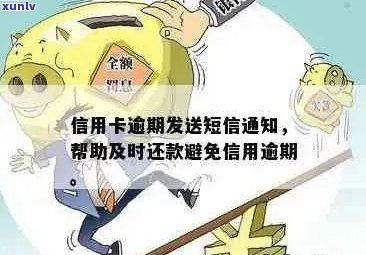 逾期信用卡怎么发短信