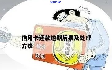 信用卡逾期半年后如何挽救信用？全面解决用户搜索问题的建议与策略