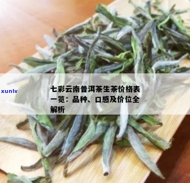 云南普洱茶十大知名：老同志与七彩龙生茶的品质与市场地位