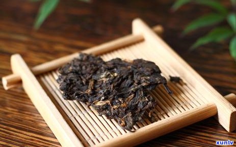 全面解析：茶叶普洱茶十大排名，让你轻松选购最适合的普洱茶！