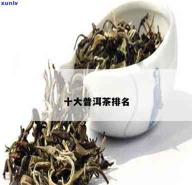 茶叶普洱茶十大排名