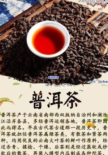 茶叶普洱茶十大排名