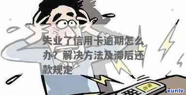 逾期信用卡还款与失业证明办理：详细指南和解决 *** 