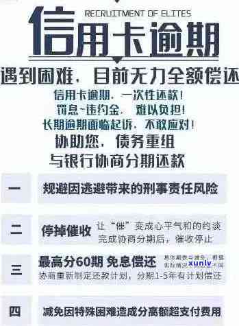 新政：全面解读信用卡逾期减免政策，帮助您更好地规划信用管理