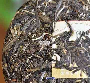 大雪山古树普洱茶2016价格表与特点：生茶与熟茶的区别和选择