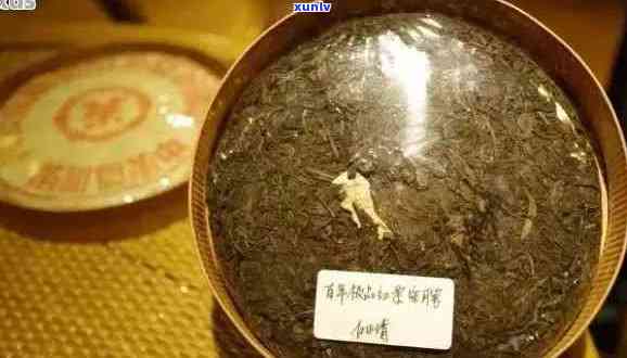 启英普洱茶：品质与名人故事的完美结合，探索启英与其茶文化的不解之缘