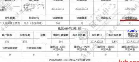 现代信用卡逾期数据