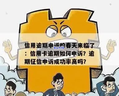 信用卡逾期异议申诉成功率：如何提高申请通过率？