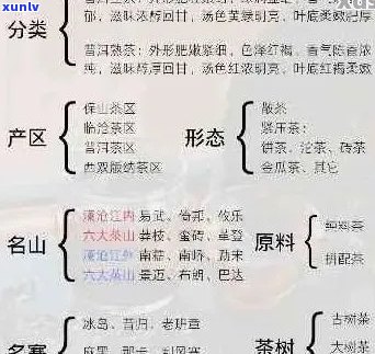 云易武普洱茶：品质、产地与泡法的全面解析，助您成为品茗高手！