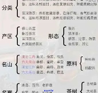 云易武普洱茶：品质、产地与泡法的全面解析，助您成为品茗高手！