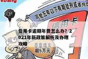 推出的信用卡逾期大额减免政策详解与实要点