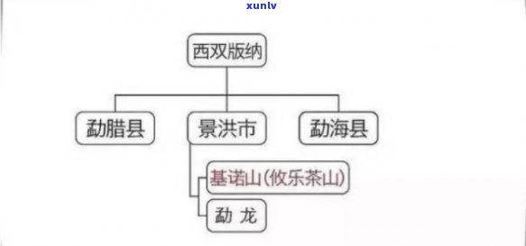 普洱茶六大山头全方位解析：从产地、口感、工艺到品鉴，一次搞定！