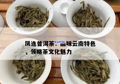 凤号精选云南普洱茶：品质越，味道独特，让你爱不释手