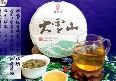 '大雪山普洱茶特点和功效：口感醇厚，降脂减肥，助消化，抗衰老'