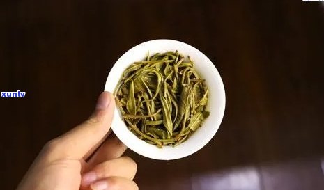 樟香味普洱茶古树茶独有：哪些品种具有独特樟香味？好茶的标准是什么？