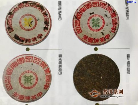 五大金刚特点解析：下关普洱茶的独特魅力与品质