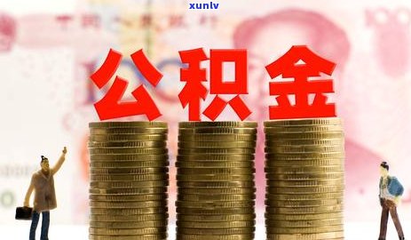 公积金贷款信用卡逾期几次不能贷：处理建议和影响分析