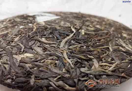 班盆老寨茶怎么样？古树茶价格表、口感特点与普洱茶对比