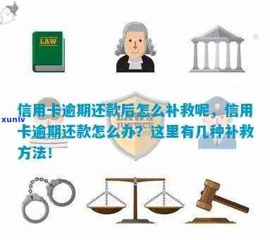 逾期信用卡还款怎么办？如何办理逾期信用卡？逾期信用卡补救措大揭秘！