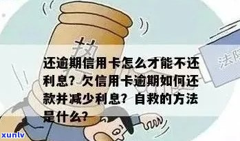 逾期信用卡还款怎么办？如何办理逾期信用卡？逾期信用卡补救措大揭秘！