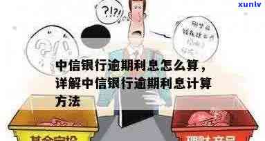 中信银行信用卡逾期利息如何计算，你知道吗？