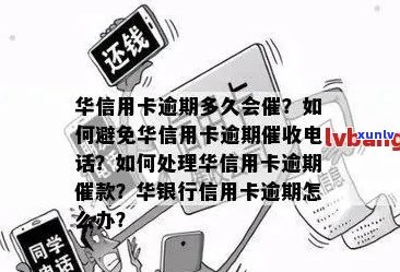 新华信用卡使用指南：如何避免还款逾期与催款提醒