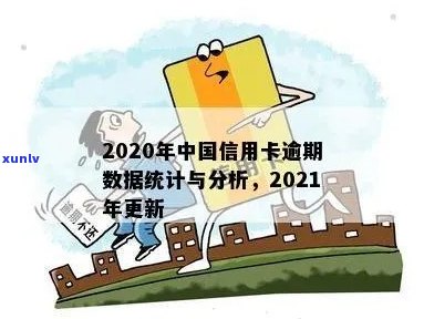 2021年中国信用卡逾期现象洞察：统计数据分析及应对策略