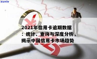 2021年中国信用卡逾期现象洞察：统计数据分析及应对策略