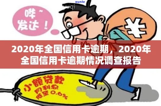 19年信用卡逾期案例分析报告：深度剖析2020年信用卡逾期现象