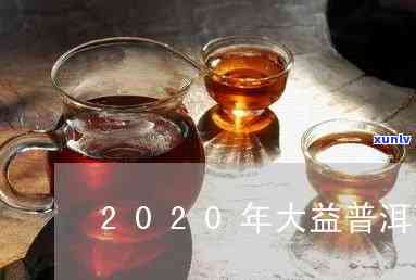 大益普洱茶2020年全新珍藏版：一款融合创新与传统风味的生茶佳品