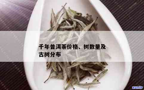 普洱千年古树茶价格及种类一览：一斤多少钱？哪个的好？