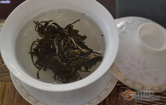 普洱茶凉着喝好不好