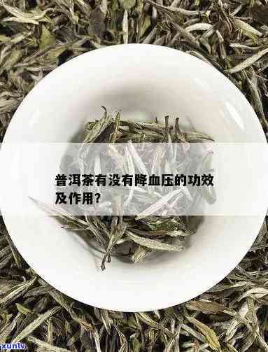 普洱茶对高血压患者是否具有降低血压作用及何时可替代降压药？