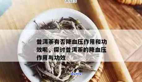 普洱茶对高血压患者是否具有降低血压作用及何时可替代降压药？