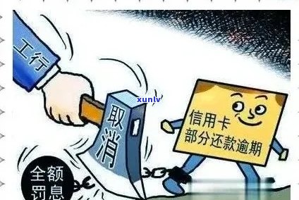 十万信用卡逾期困境：处理策略与还款建议