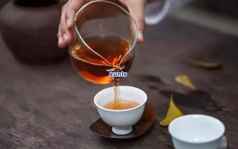 闷泡壶适合泡什么茶：茶叶与茶具的完美搭配