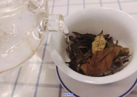 闷泡壶适合泡什么茶：茶叶与茶具的完美搭配