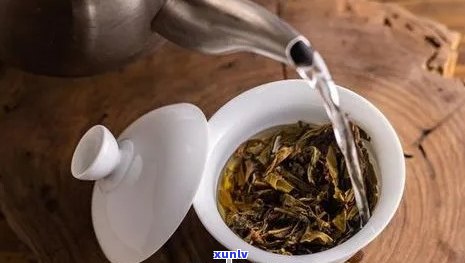 闷泡壶能泡普洱茶吗