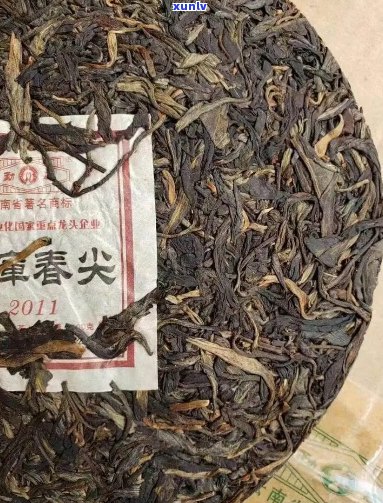 勐库明前春尖普洱茶