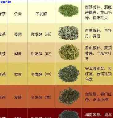 全面解析：恒泰茶的种类、产地、口感和泡法，一文了解恒泰茶的所有信息