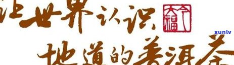 今大福普洱茶官网价格行情报价网，评价与排名，了解今大福普洱茶的全面信息