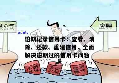 全面解决信用逾期问题：如何修复信用记录、应对策略与重振个人信用？