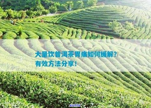 喝了三杯普洱茶胃疼怎么缓解疼痛？