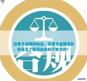 信用卡逾期未还款解决之道：避免滞纳金产生的策略