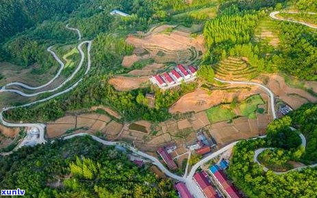 马鞍山古树普洱茶饼：品种、产地、 *** 工艺、品鉴 *** 及购买渠道全方位解析